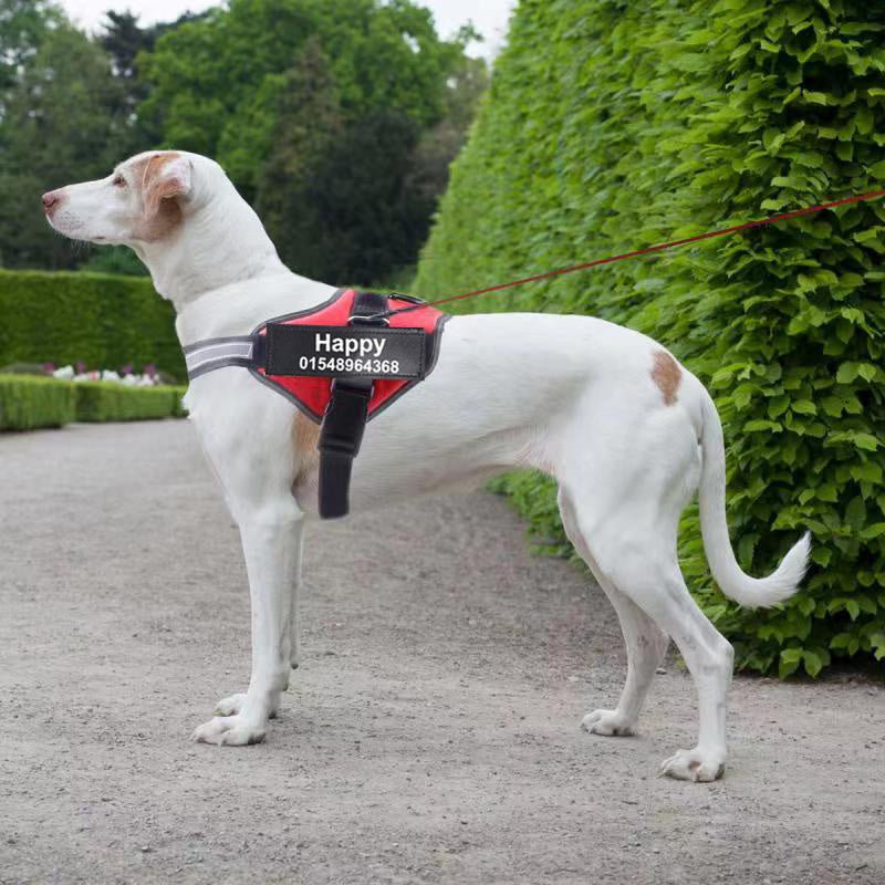 Personalized Custom Reflective Breathable Dog Harness NO PULL Adjustable Pet Harness For Small Large Dog Harness Vest With Patch - 9 Boss Studio Mp3 store