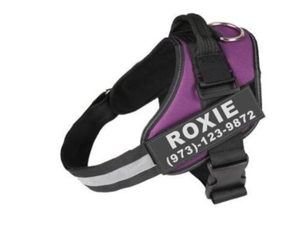 Personalized Custom Reflective Breathable Dog Harness NO PULL Adjustable Pet Harness For Small Large Dog Harness Vest With Patch - 9 Boss Studio Mp3 store